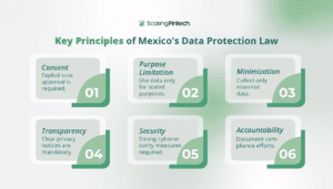Infographic illustrating the fundamental principles of Mexico's data protection law, focusing on privacy rights and data handling.